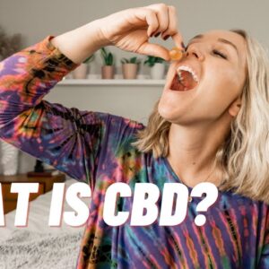 CBD Gummies