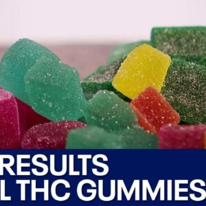 CBD Gummies