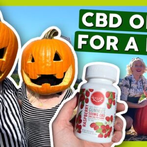 CBD Gummies